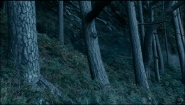 Vikings (Hindi) - Season 06 Episode 17